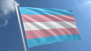 Brighton & Hove is a city known for its inclusivity, generosity, and kindness — values that Phoenix proudly shares. As a visual arts charity rooted here, we are committed to being a welcoming space that reflects and respects the full diversity of our communities. In light of the recent UK Supreme Court ruling, we want to reaffirm our support for our trans, non-binary, and intersex staff, artists, audiences, teachers, producers, and participants. To everyone we engage with — you are welcome here. We remain committed to ensuring that everyone can use the toilets that best align with their identity. At Phoenix, this includes providing gender-neutral options. We recognise that people come to these conversations with a range of experiences, needs, and perspectives, and we aim to offer inclusive choices that reflect that. Phoenix is proud to stand alongside other arts and cultural organisations in writing to the Equality and Human Rights Commission to ask them to consult meaningfully with trans, non-binary, and intersex communities before proposing or implementing any legislation that may impact them.