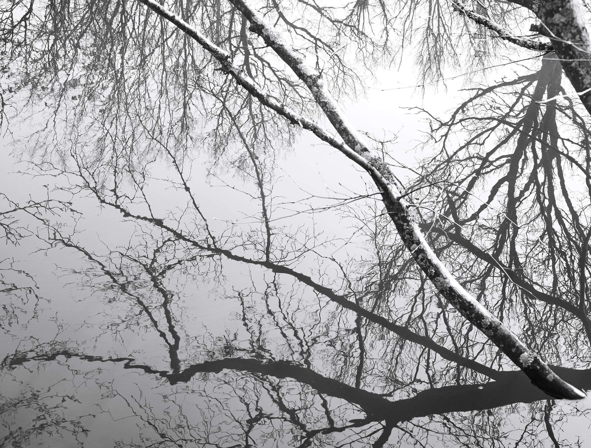 KatyadeGrunwald_Phoenix_ 2025_Waterworks_AE3A8425 2_NEW