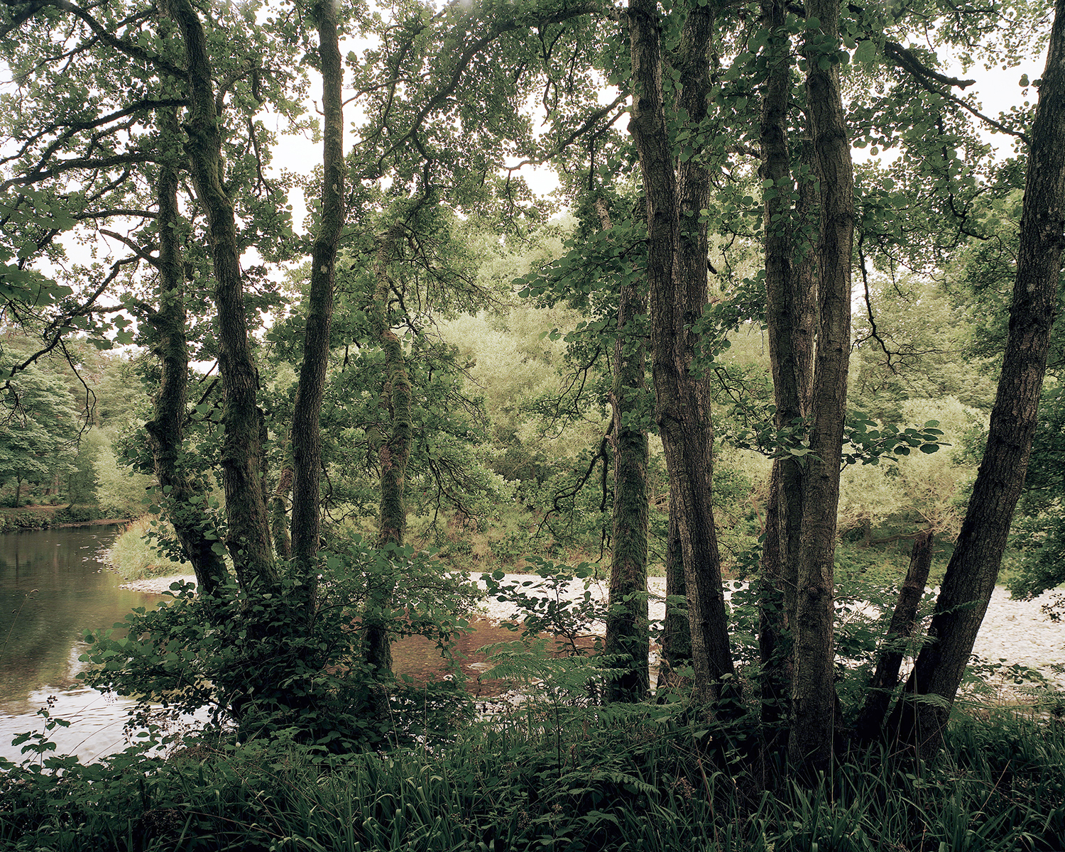 Fergus Heron River Nairn near Cawdor August 2022