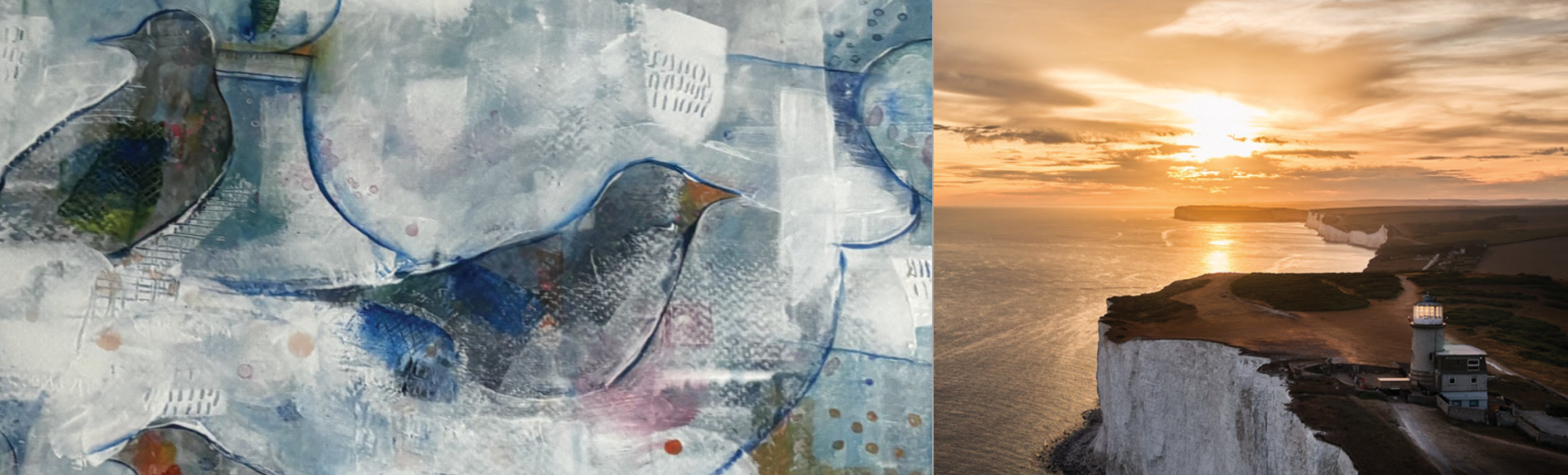 website-banner-shapesandshadows